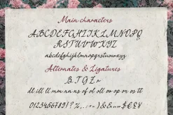 Vintage Retro script font Quill Pape