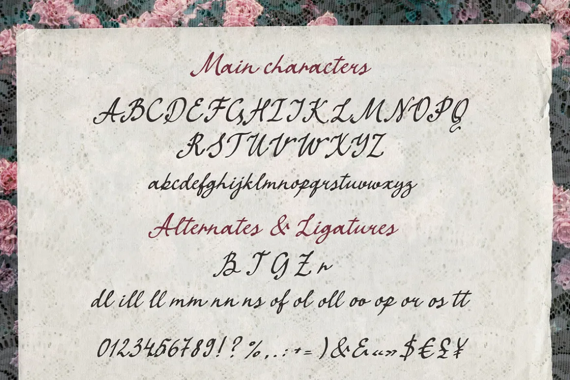 Vintage Retro script font Quill Pape