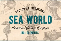 154 Vintage Sea Illustrations