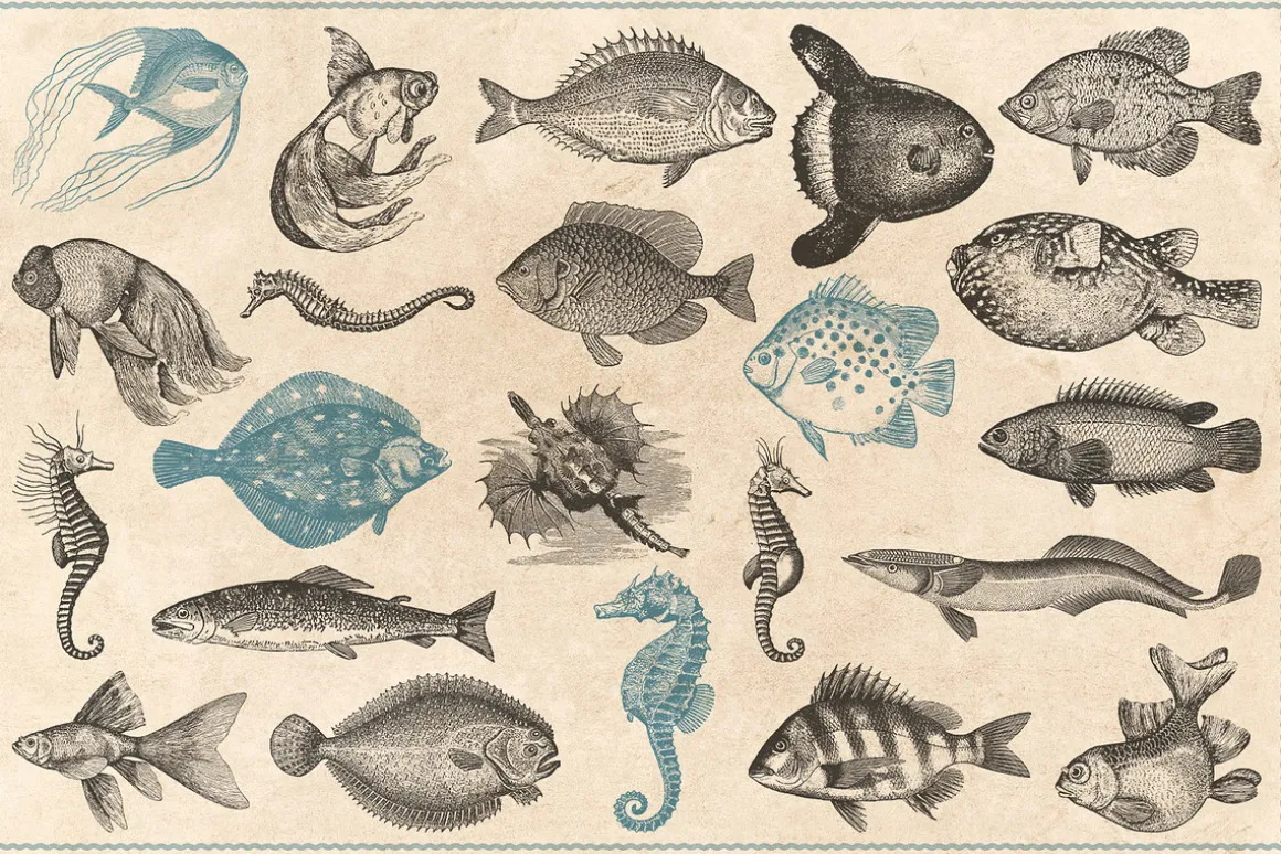 154 Vintage Sea Illustrations