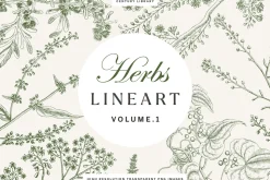 120 Vintage Transparent PNG Herbs