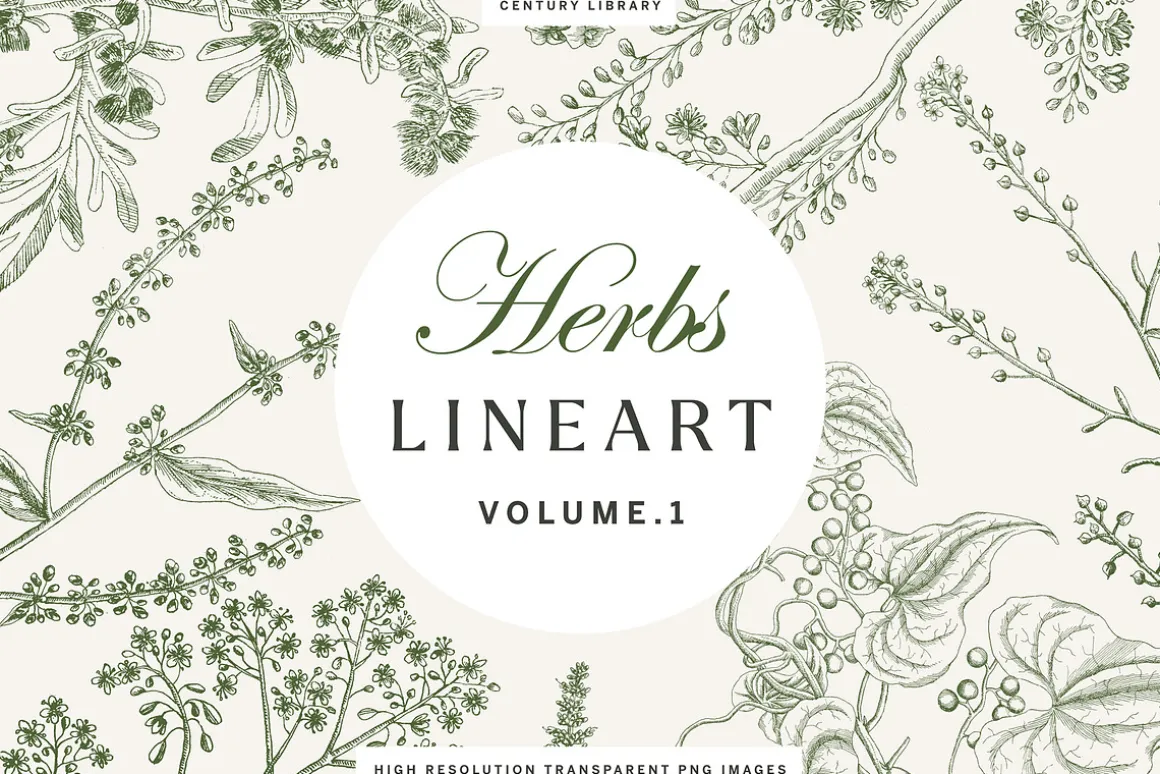 120 Vintage Transparent PNG Herbs