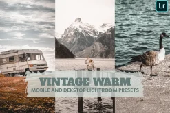 Vintage Warm Lightroom Presets