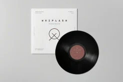 Vinyl Mock-up