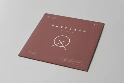Vinyl Mock-up