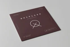 Vinyl Mock-up