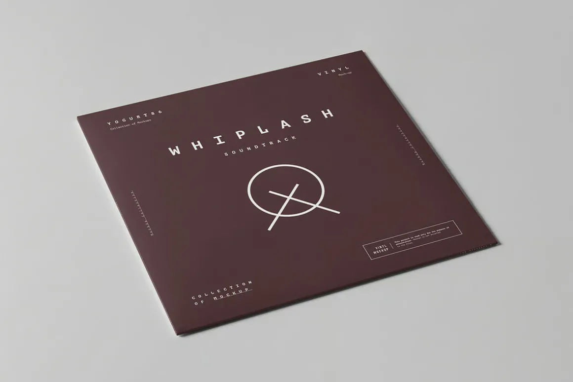 Vinyl Mock-up