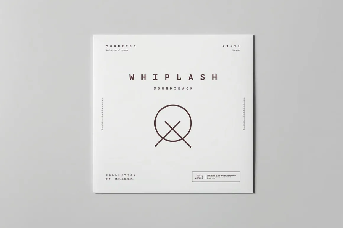 Vinyl Mock-up