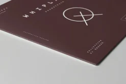 Vinyl Mock-up