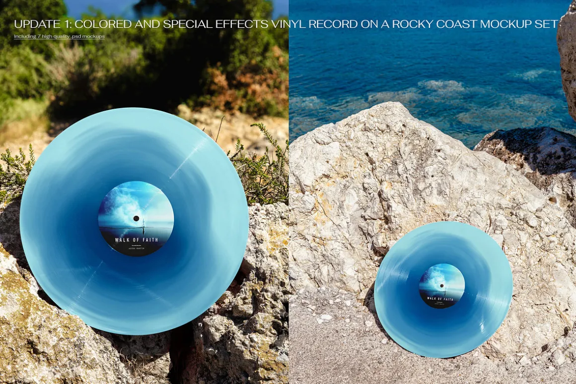 Vinyl Record Mockup Bundle
