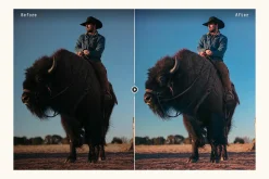 Vivid Colors - Actions and Presets