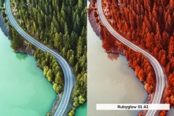 20 Vivid Infrared Lightroom Presets