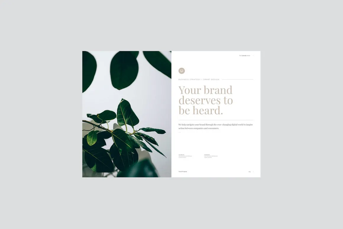 VOLK - Studio Proposal