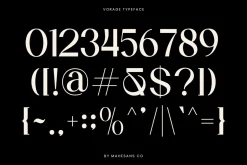 Vorage | Modern Minimalist Typeface