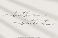 Vow Song A Romantic Script Font