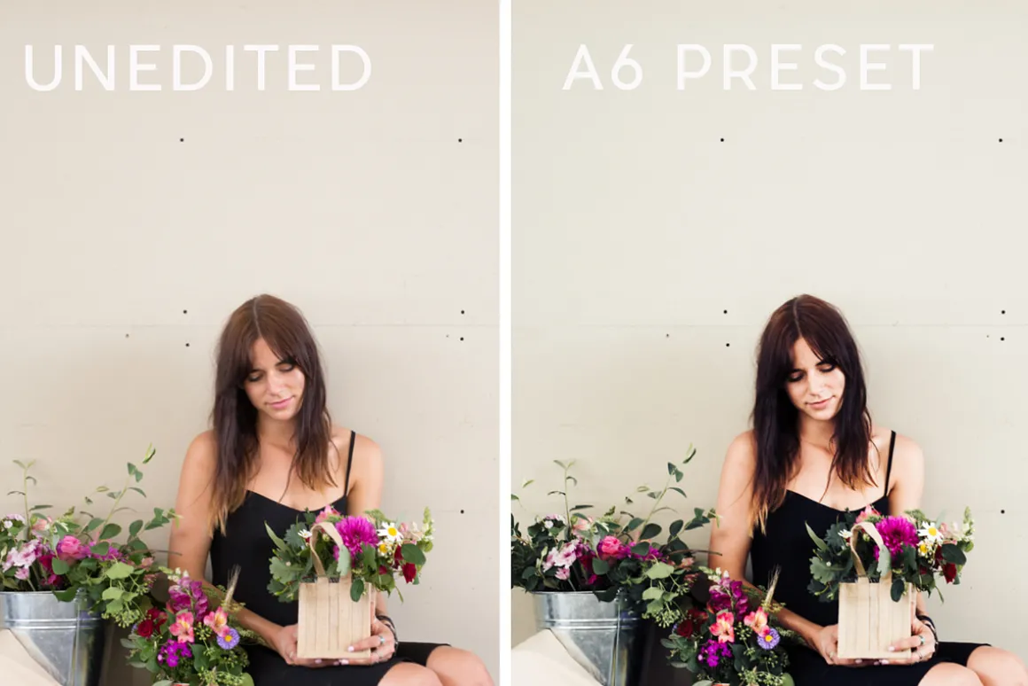 VSCO inspired A6 ACR preset pack