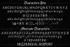 VT Salemore Longest Font Combination
