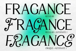 VT Salemore Longest Font Combination