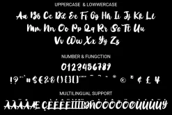 Warenthuis - Brush Handwritten Font