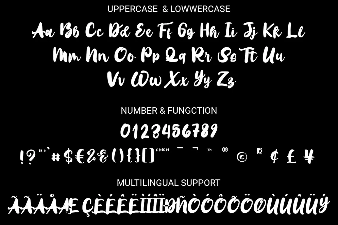 Warenthuis - Brush Handwritten Font
