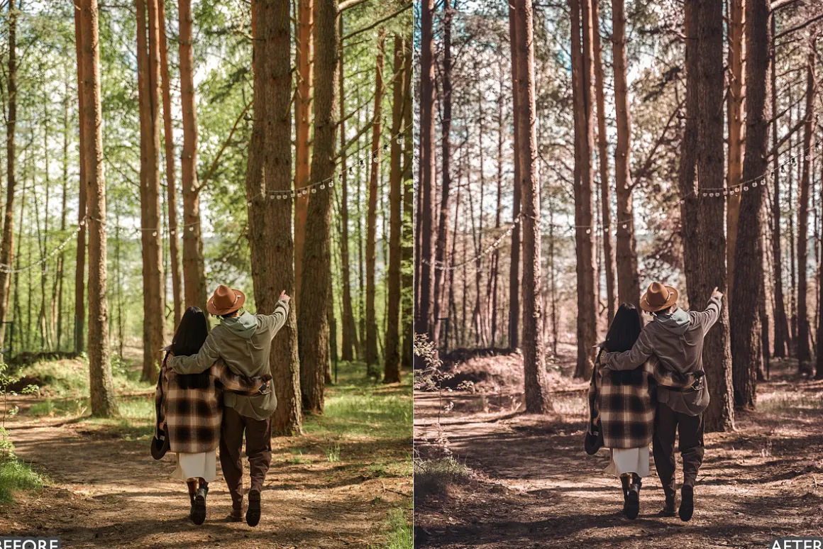 Warm Brown Lightroom Presets