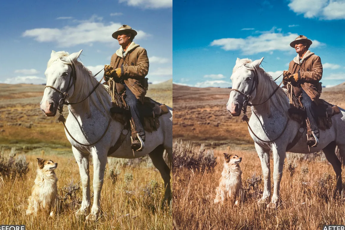 Warm Brown Lightroom Presets