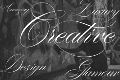 Washington | Stylish Script Family