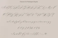 Washington | Stylish Script Family