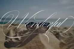 Washington | Stylish Script Family