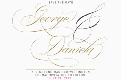 Washington | Stylish Script Family