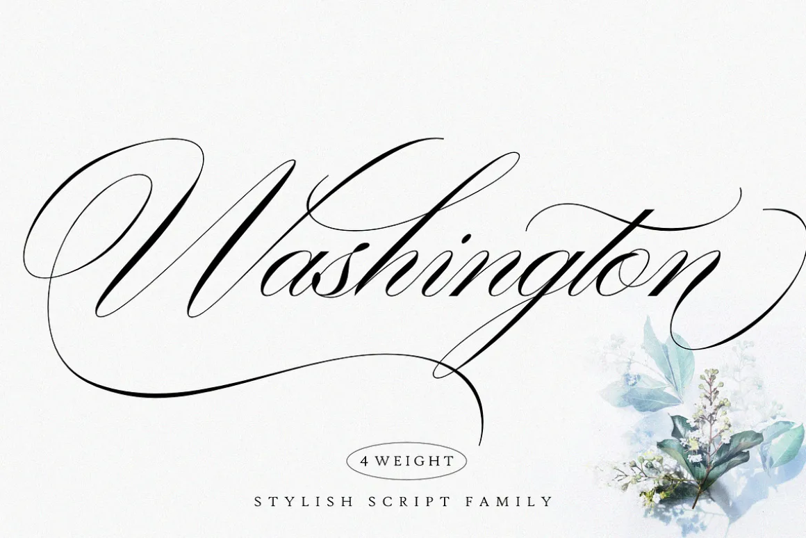 Washington | Stylish Script Family