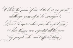 Washington | Stylish Script Family