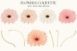 Watercolor Flowers Gerbera Coquette