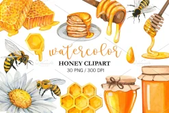 Watercolor Honey Clipart, PNG