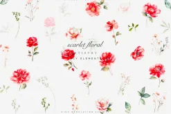 Watercolor Scarlet Flowers Clipart