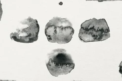 Watercolor Stamps for Procreate