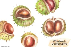 Watercolor autumn chestnuts clipart
