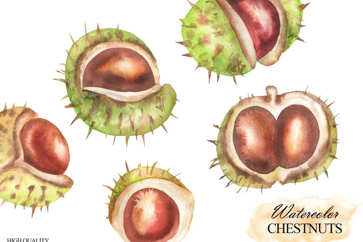Watercolor autumn chestnuts clipart