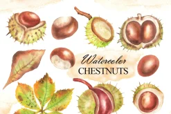 Watercolor autumn chestnuts clipart