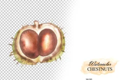 Watercolor autumn chestnuts clipart