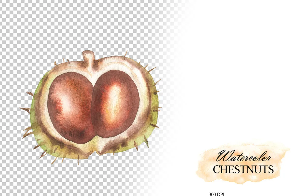 Watercolor autumn chestnuts clipart