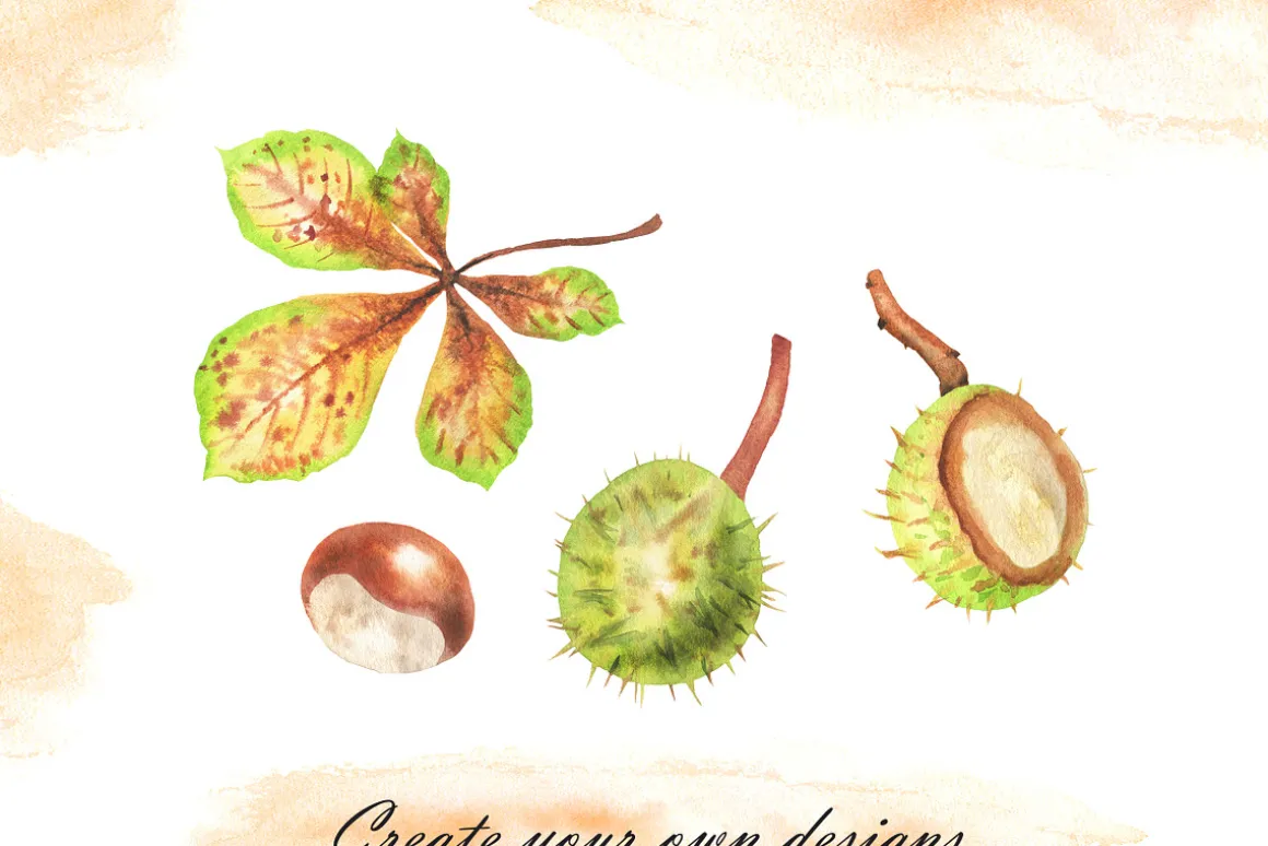 Watercolor autumn chestnuts clipart