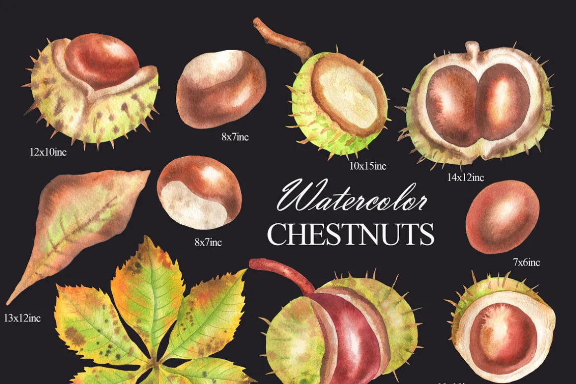 Watercolor autumn chestnuts clipart