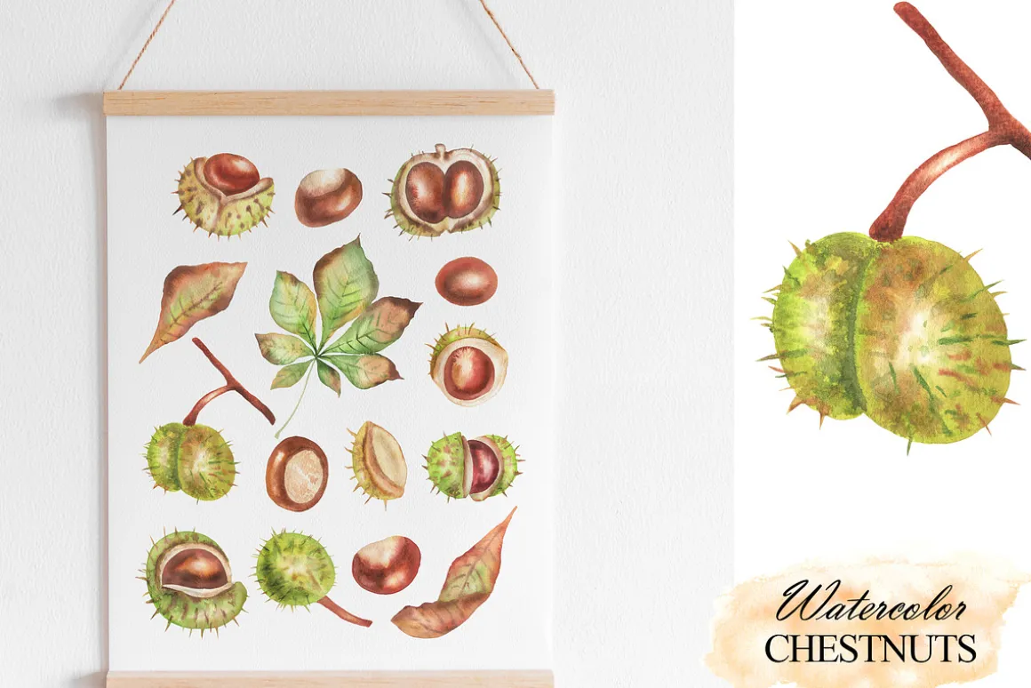 Watercolor autumn chestnuts clipart