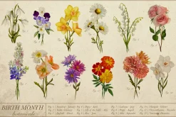 Watercolor Botanical Birth Flowers
