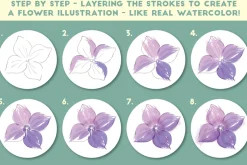 Watercolor Brushes