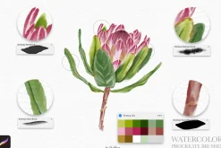 Watercolor Brushes for Procreate
