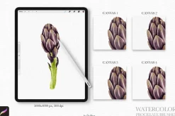 Watercolor Brushes for Procreate