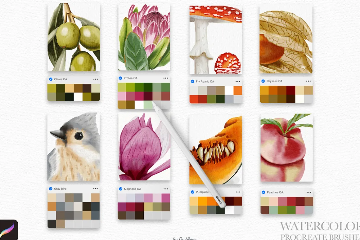 Watercolor Brushes for Procreate