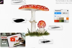 Watercolor Brushes for Procreate